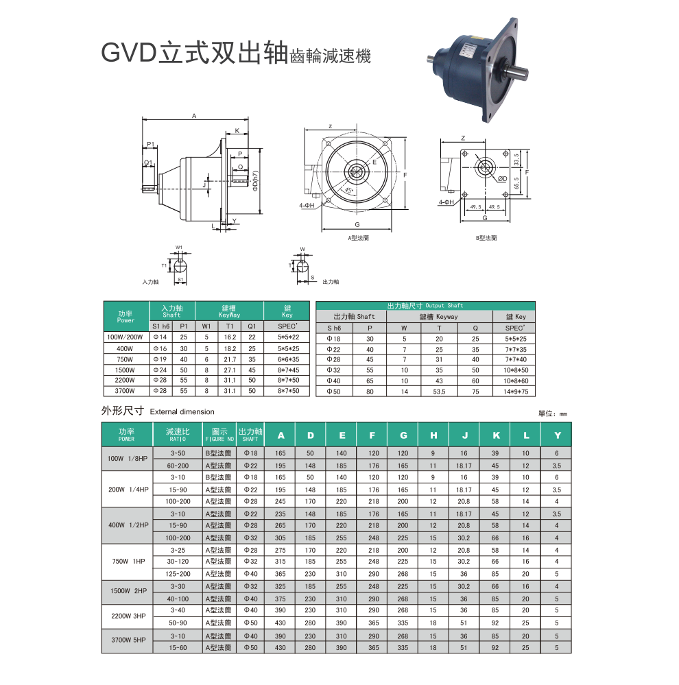 GVD-立式双出轴减速机(图1)