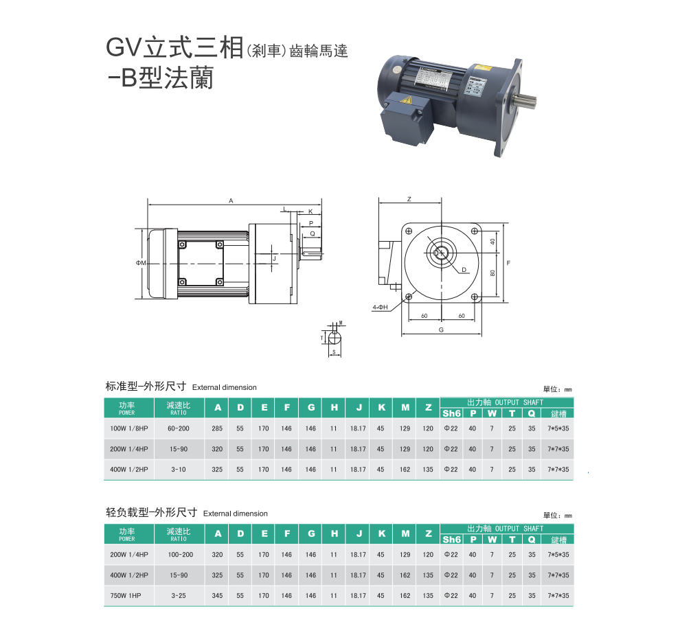 GV-立式B法兰齿轮马达(图1)