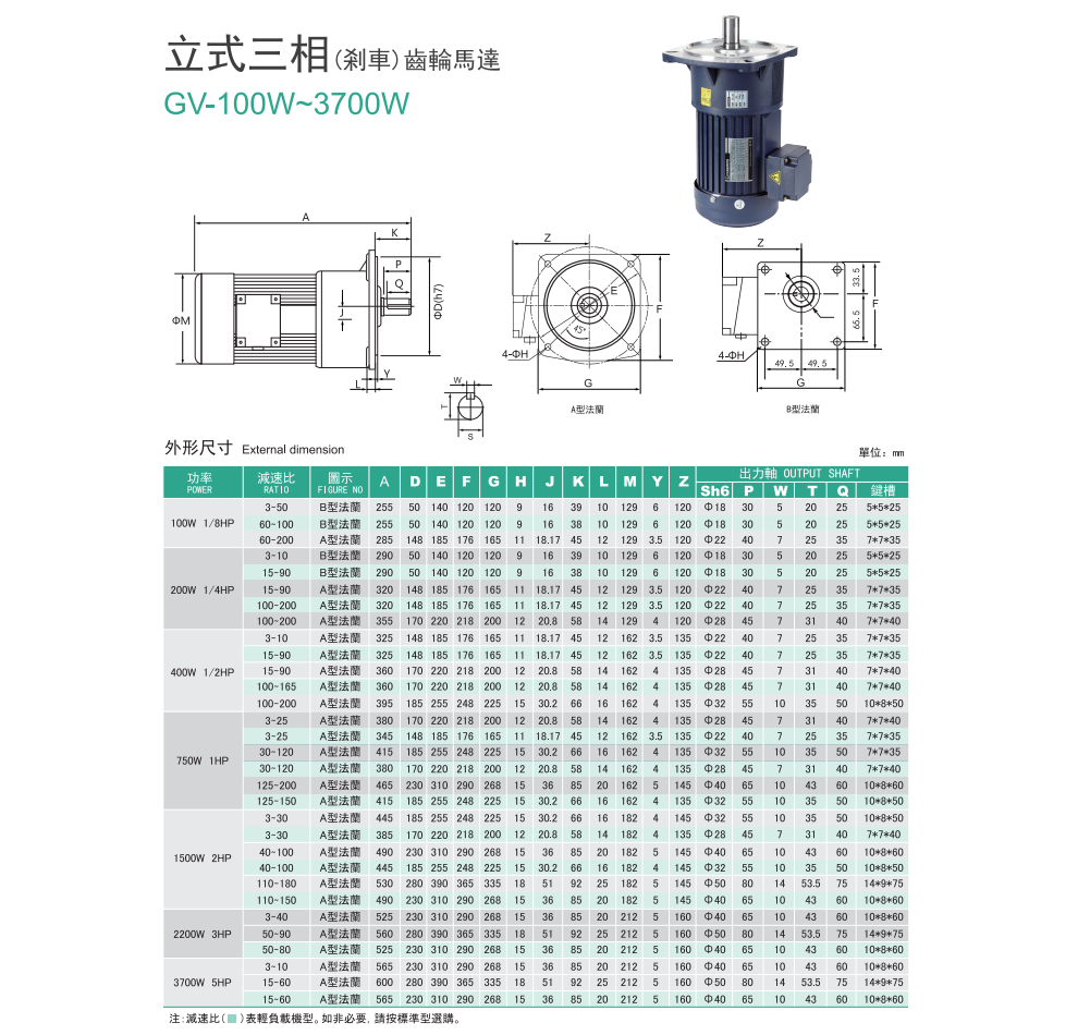 GV-立式齿轮马达(图1)